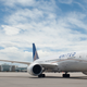 Image for article titled One-Third Of U.S. Airline Animal Deaths In The Last Five Years Occurred On United Flights